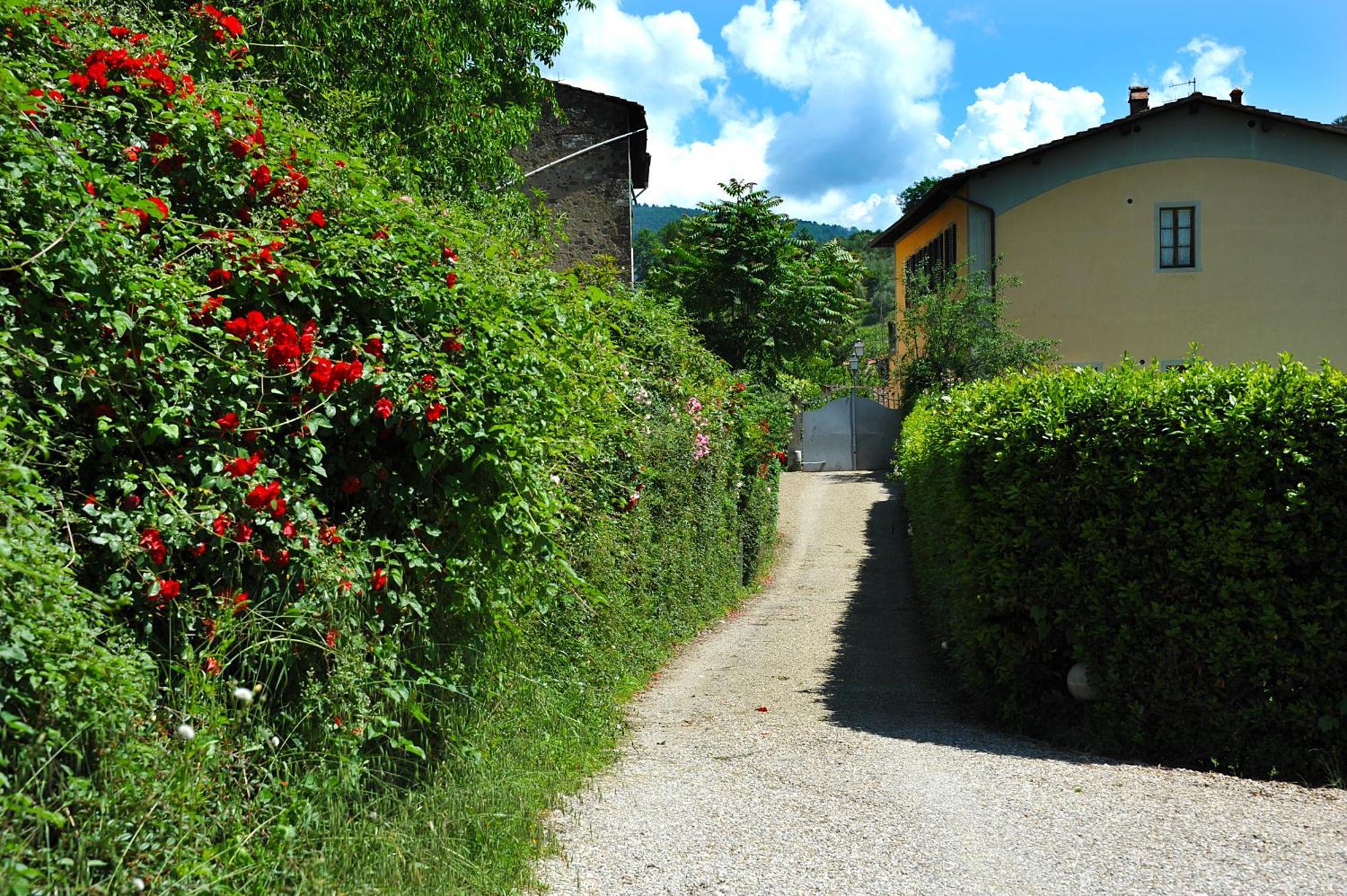 Antico Pastificio Aparthotel Greve in Chianti Kültér fotó
